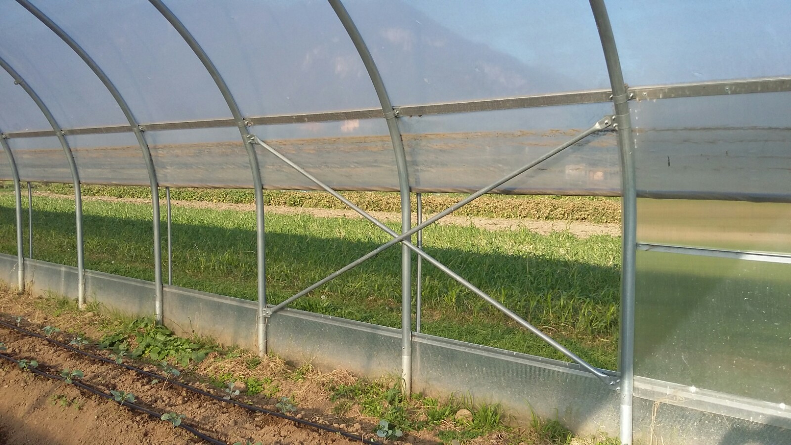 53e79172-5a95-4f53-8b0d-eedb5106b5bb