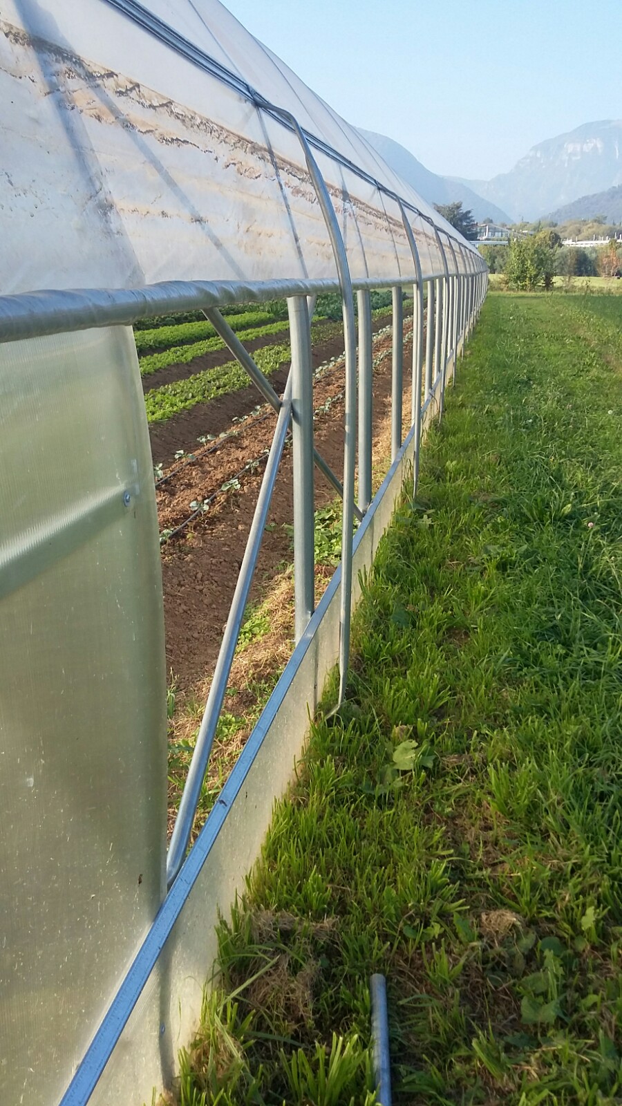 5d7763d5-8e52-4f37-97ea-6e301716ec23