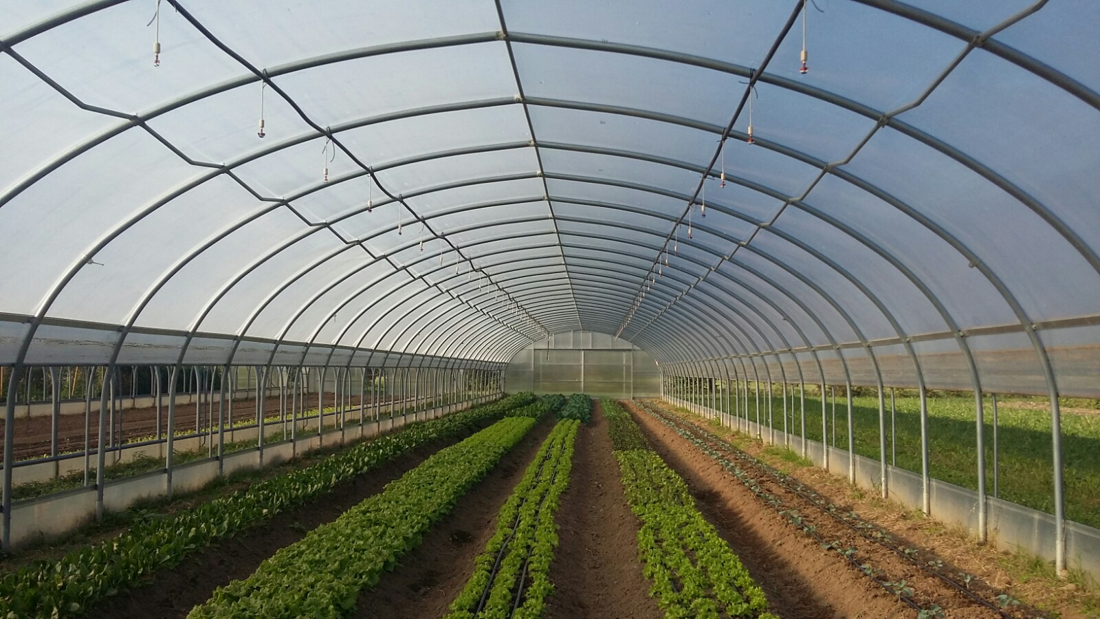 e7852d42-ae24-449d-9c48-e006a7a882b2